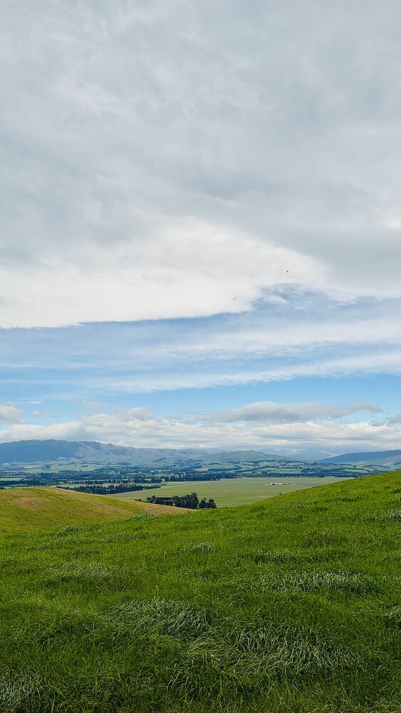 Rolling Canterbury farmland under a wide sky
