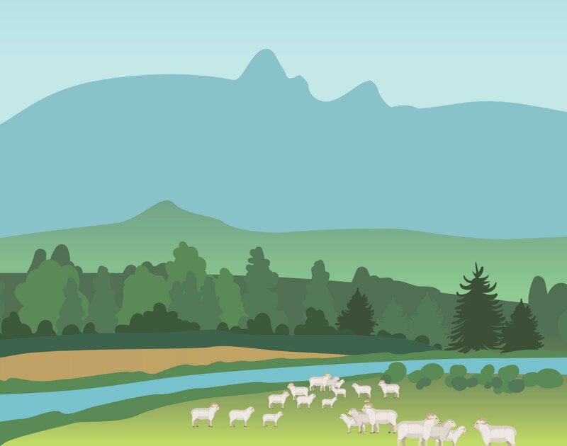 Illustration of sheep grazing beside a river below the Canterbury foothills, from the Ellesmere A&P Show artwork