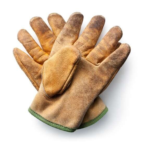 A worn pair of leather work gloves